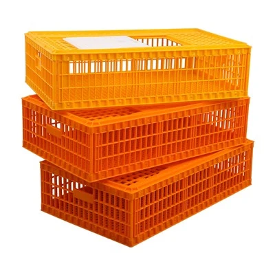 Plastikust kana transpordikast